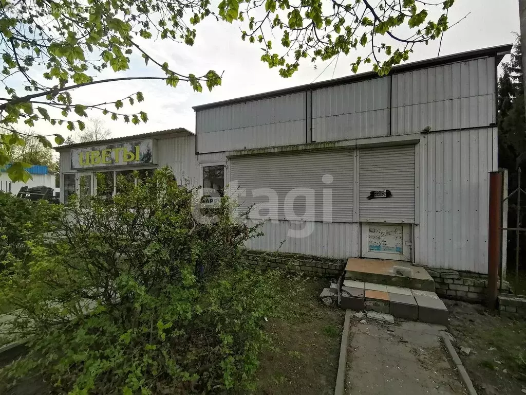 Помещение свободного назначения (32 м) - Фото 1