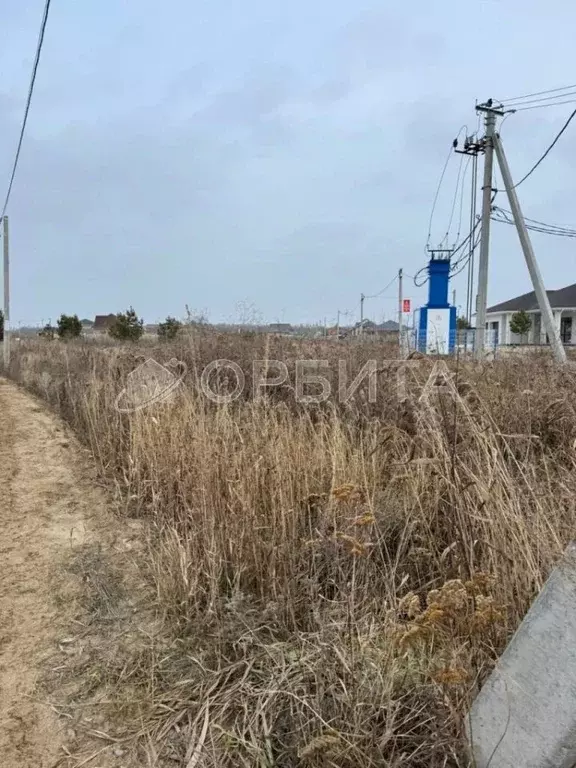 Участок в Тюменская область, Тюменский район, с. Перевалово ул. Дачная ... - Фото 2