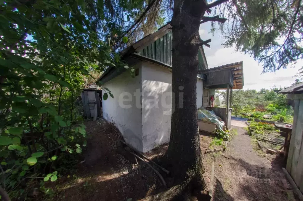 Дом в Курганская область, Шадринск Виктория СНТ, 95 (20 м) - Фото 0