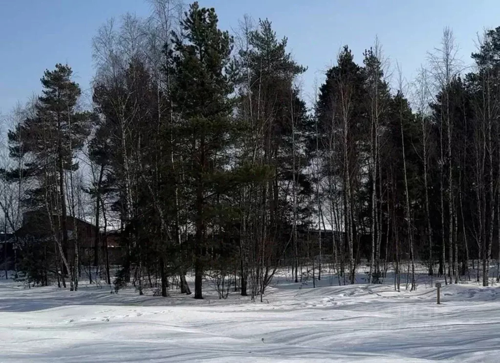 Участок в Московская область, Балашиха городской округ, д. Полтево  ... - Фото 0