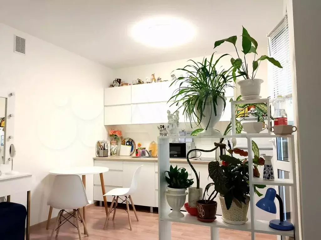 Квартира-студия, 25,8 м, 2/25 эт. - Фото 1