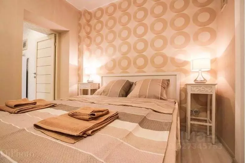 1-к кв. Санкт-Петербург Кузнечный пер., 10 (38.0 м) - Фото 2