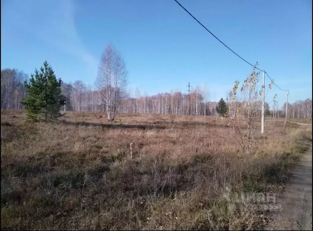 Участок в Новосибирская область, Новосибирский район, Станционный ... - Фото 1