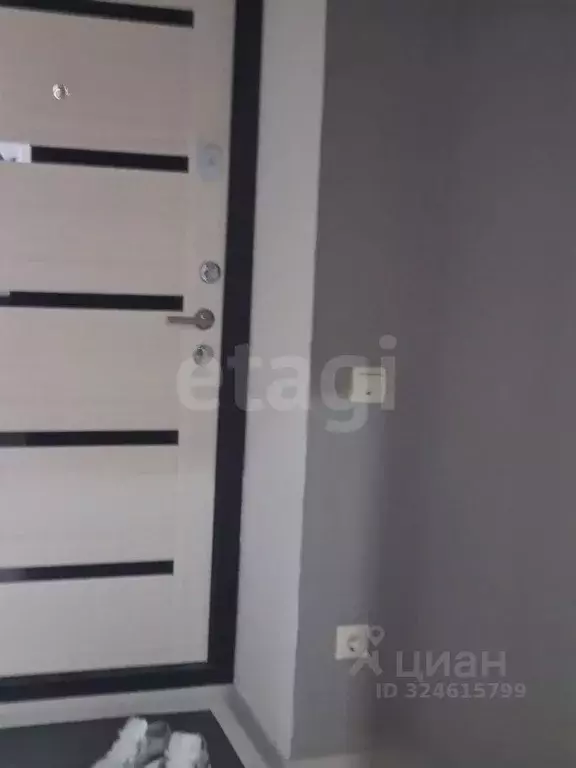 1-к кв. Пензенская область, Пензенский район, Засечный сельсовет, с. ... - Фото 2