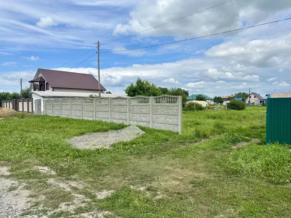 Участок в Алтайский край, Павловский район, с. Шахи ул. Куйбышева, 3 ... - Фото 1