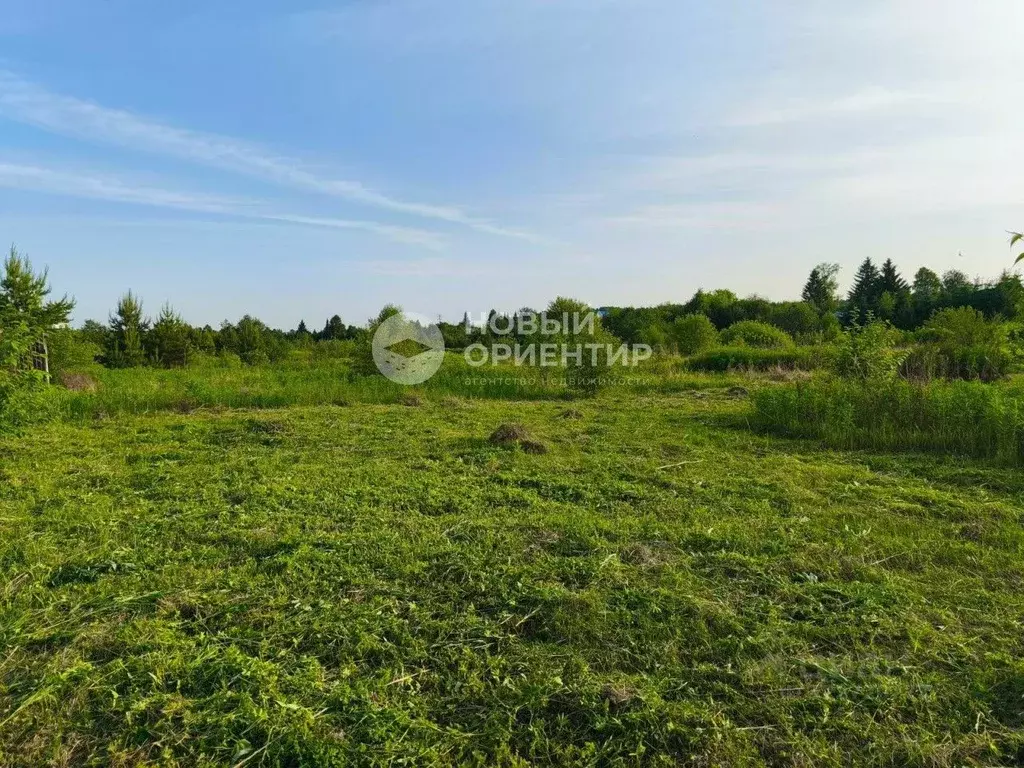 Участок в Свердловская область, Белоярский муниципальный округ, д. ... - Фото 2