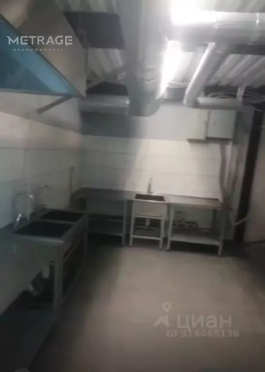 Помещение свободного назначения в Новосибирская область, Новосибирск ... - Фото 1