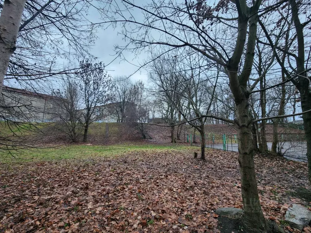 3-к кв. Калининградская область, Калининград ул. Багратиона, 125 (81.0 ... - Фото 2