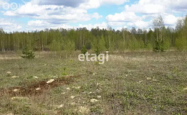 Участок в Владимирская область, муниципальное образование Петушинское, ... - Фото 1