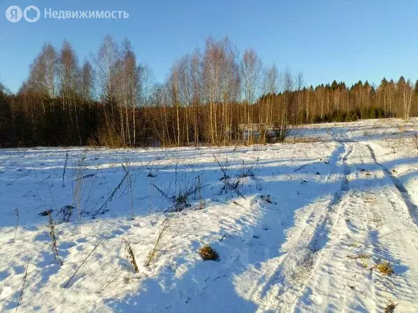 Участок в Казань, садоводческое некоммерческое товарищество Нокса-Авиа ... - Фото 0