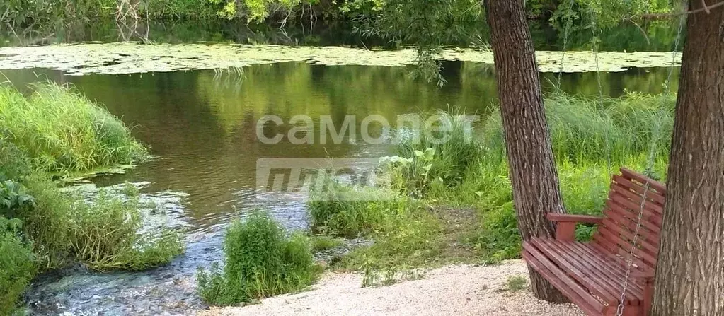 Участок в Рязанская область, Старожиловский муниципальный округ, д. ... - Фото 2
