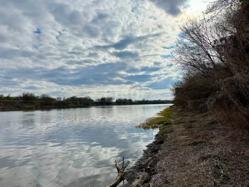 Участок в Воронежская область, Семилукский район, с. Девица, Поречье-2 ... - Фото 1