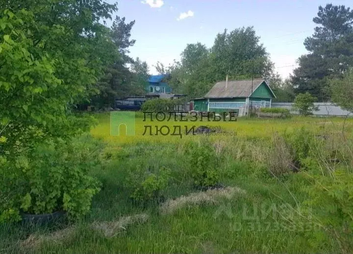 Дом в Амурская область, Благовещенск городской округ, с. Белогорье ул. ... - Фото 1