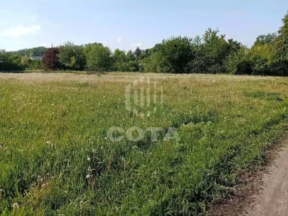 Участок в Воронежская область, Новоусманский район, с. Орлово ... - Фото 1