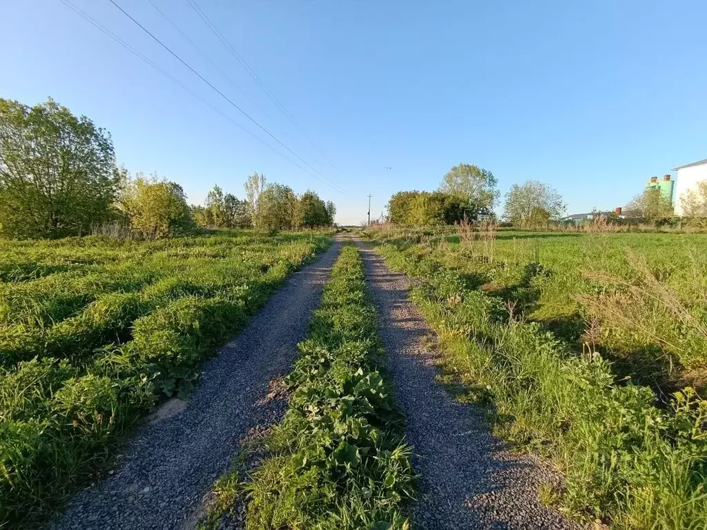 Участок в Калужская область, Жуковский муниципальный округ, д. ... - Фото 1