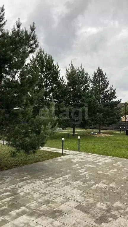 Дом в Воронежская область, Рамонский район, Новоживотинновское с/пос, ... - Фото 1