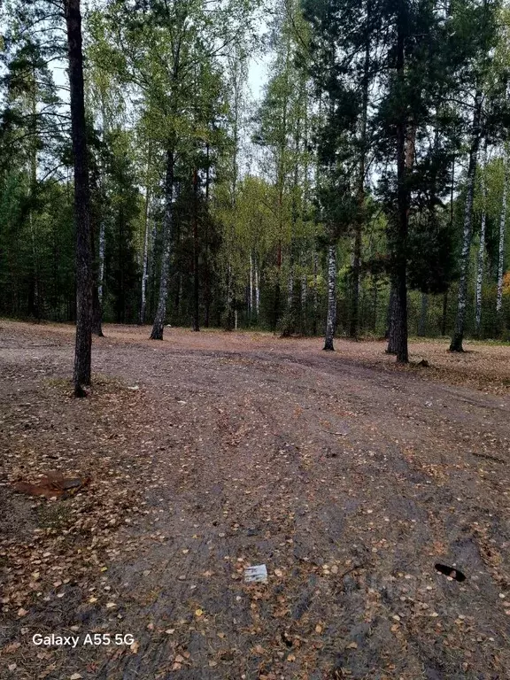 Участок в Марий Эл, Медведевский район, Сидоровское с/пос, Березка ... - Фото 2