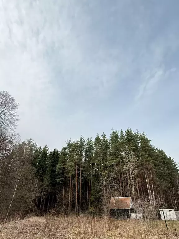 Дом в Московская область, Раменский муниципальный округ, Парус СНТ 77 ... - Фото 2