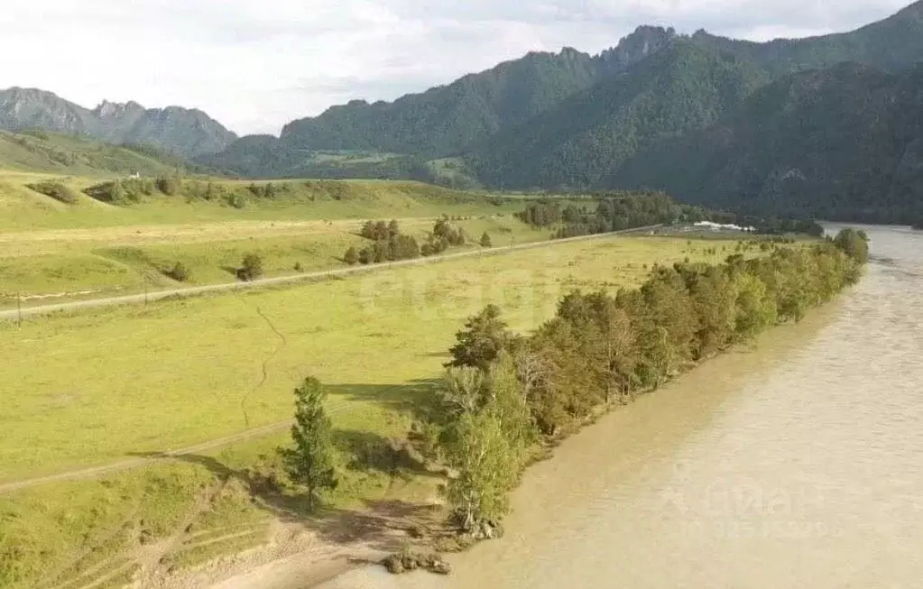 Участок в Алтай, Чемальский район, с. Еланда Катунская ул., 24А (50.0 ... - Фото 2