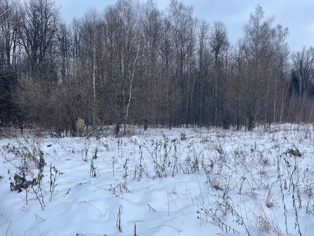 Участок в Московская область, Серпухов городской округ, д. Всходы  ... - Фото 0