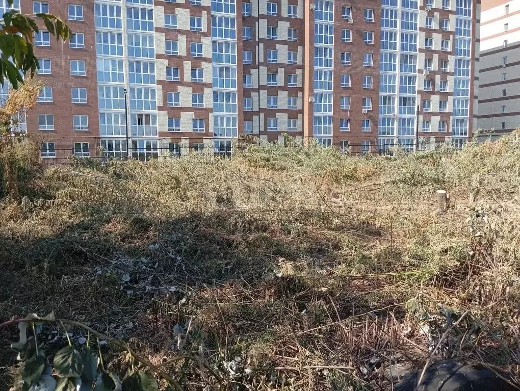 Участок в Брянская область, Брянский район, Снежское с/пос, пос. ... - Фото 2