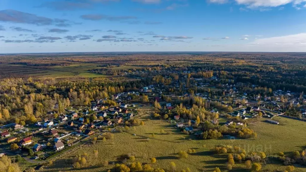 Участок в Ленинградская область, Всеволожский район, Куйвозовское ... - Фото 1