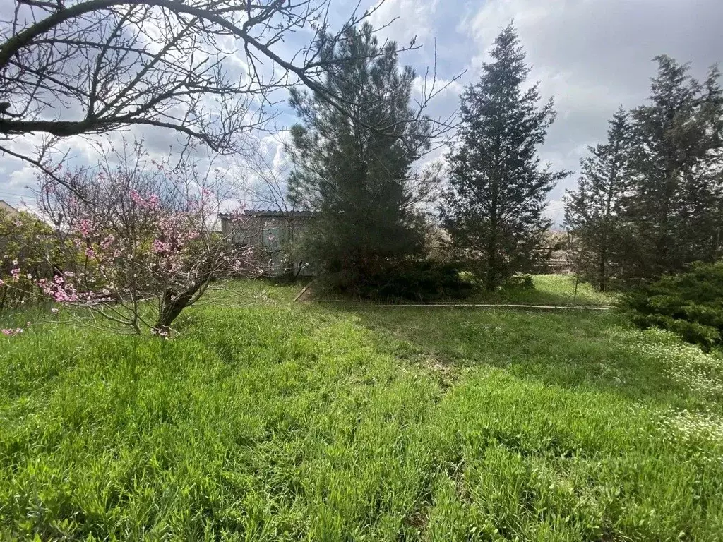 Дом в Крым, Сакский район, Суворовское с/пос, Днепр СПК ул. ... - Фото 2