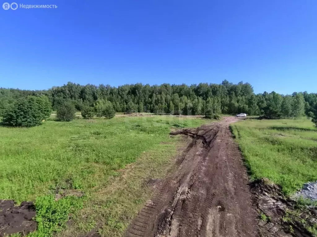 Участок в Нижнетавдинский район, садоводческое некоммерческое ... - Фото 0