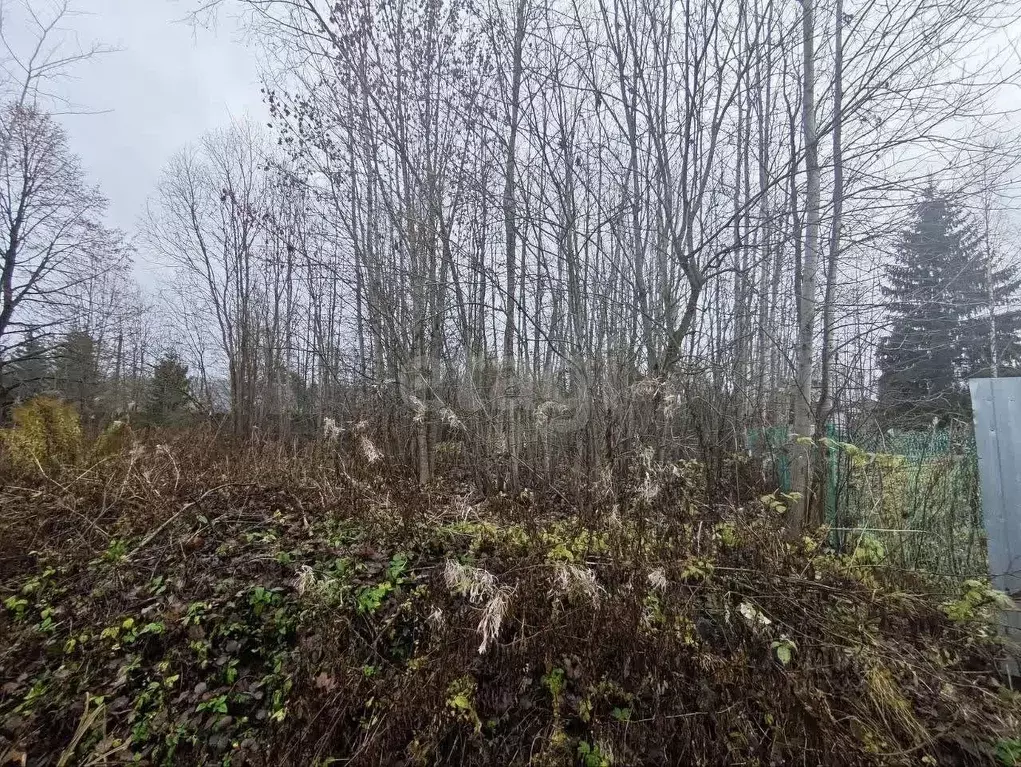 Участок в Ленинградская область, Волховский район, Кисельнинское ... - Фото 1