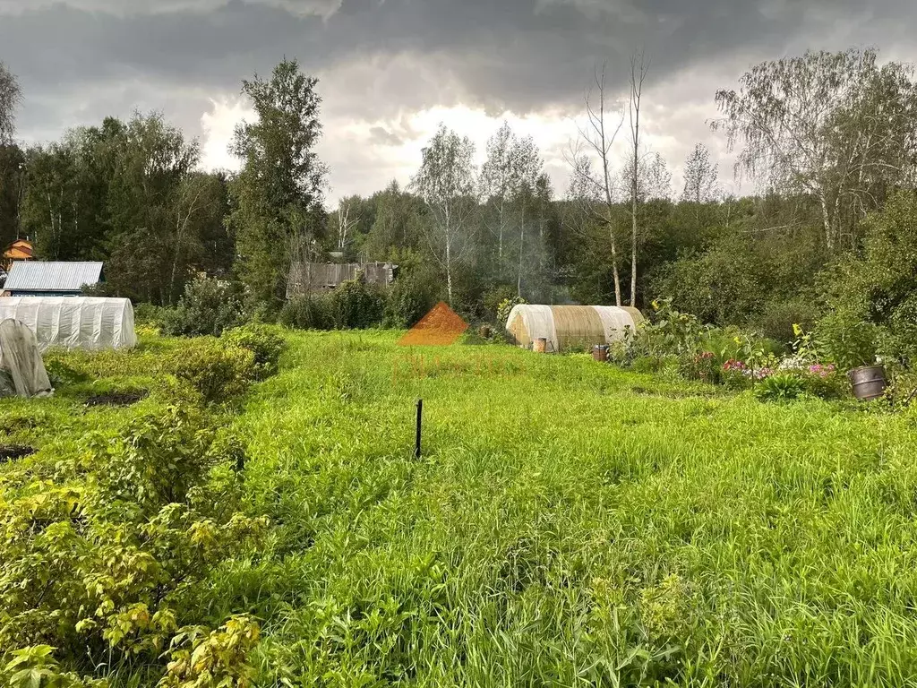 Участок в Новосибирская область, Новосибирск Заря садовое ... - Фото 1