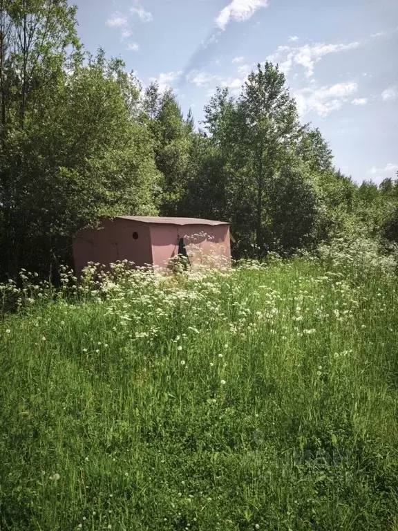Участок в Ленинградская область, Тосненский район, Рябовское городское ... - Фото 1