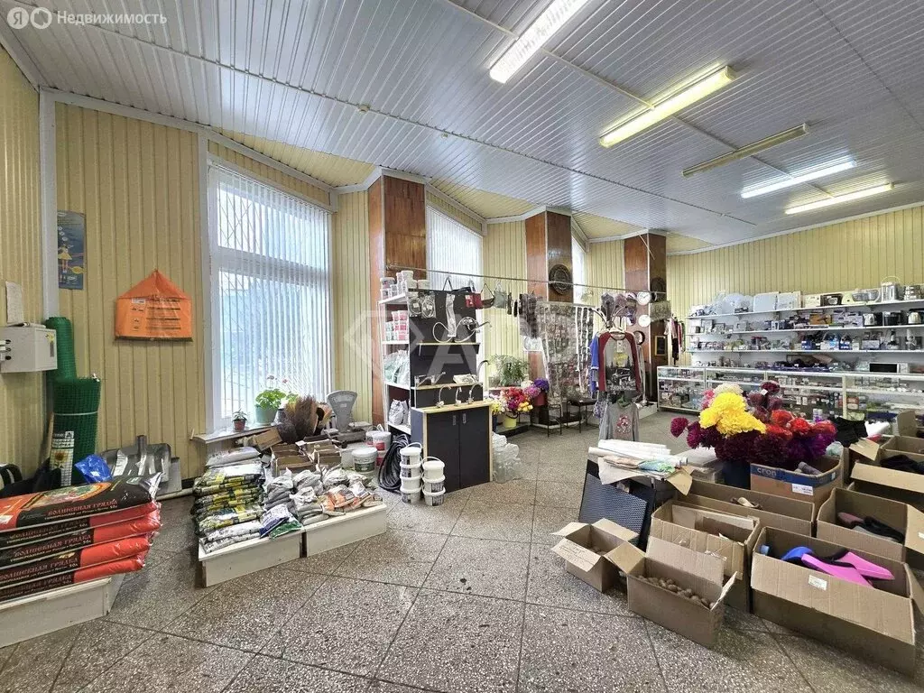 Торговая площадь (594.6 м) - Фото 1