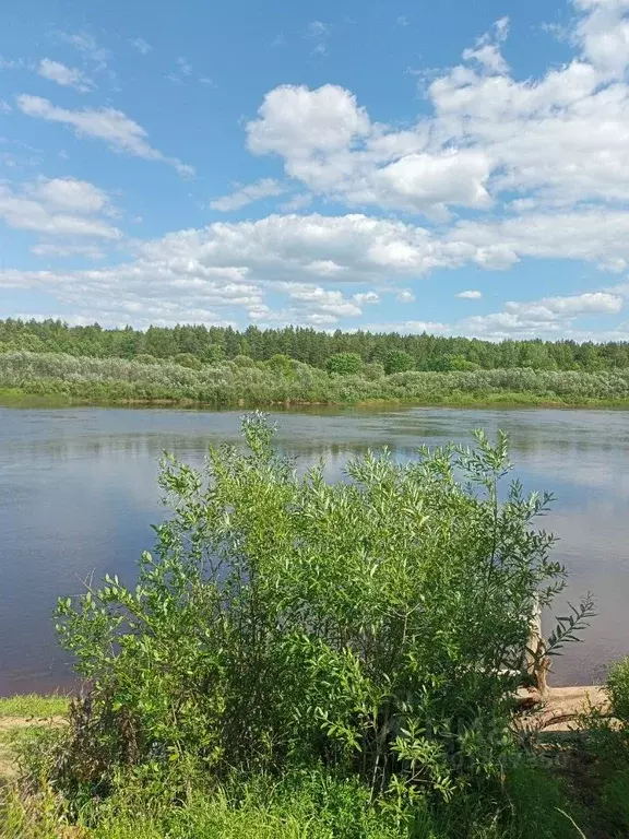 Участок в Нижегородская область, Бор  (20.0 сот.) - Фото 0