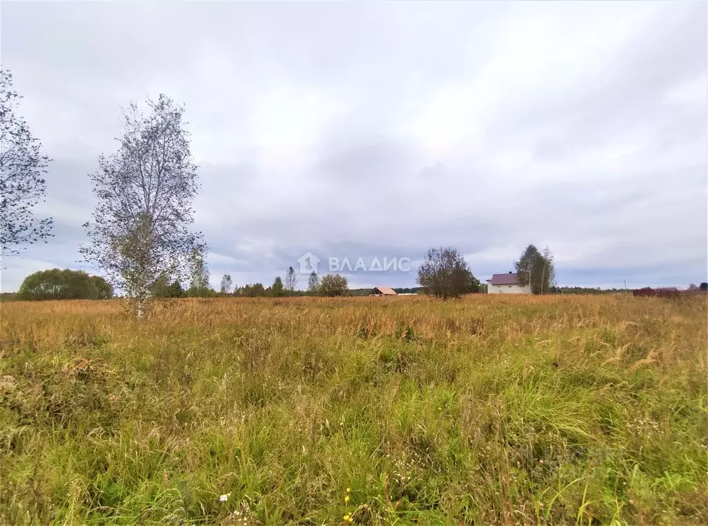 Участок в Владимирская область, Судогодский район, пос. Головино ул. ... - Фото 2