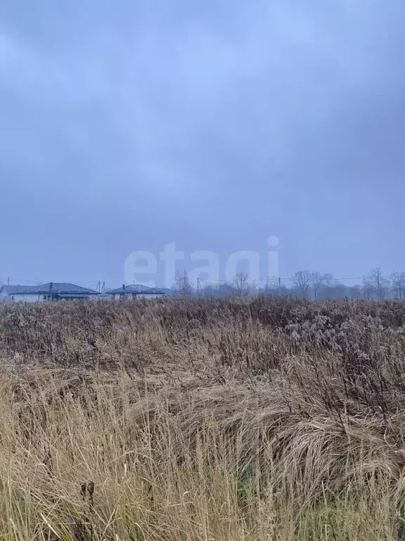 Участок в Калининградская область, Гурьевский муниципальный округ, ... - Фото 1