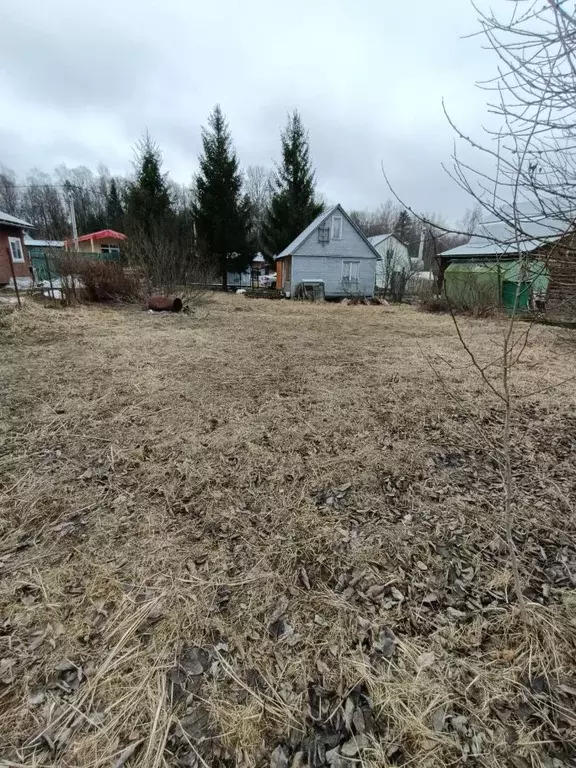 Участок в Москва Осинка СНТ, 38 (6.0 сот.) - Фото 2