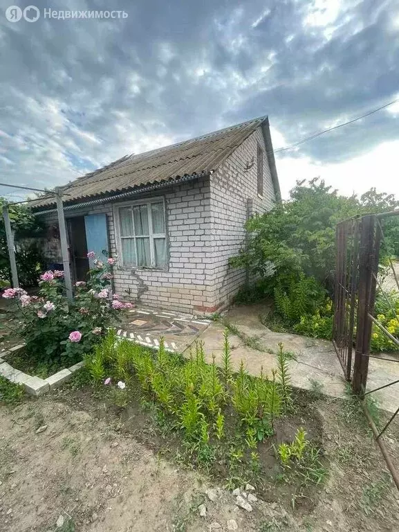 Участок в Волгоград, СНТ Шельф (6.09 м) - Фото 1