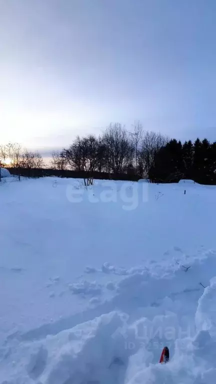 Участок в Вологодская область, Возрождение СТ  (15.0 сот.) - Фото 1