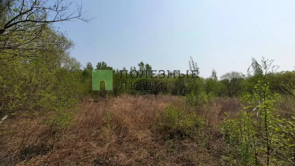 Участок в Амурская область, Благовещенский район, с. Чигири Банковская ... - Фото 1