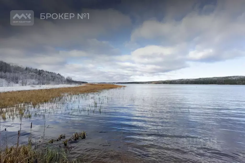 Участок в Ленинградская область, Выборгский район, Рощинское городское ... - Фото 2