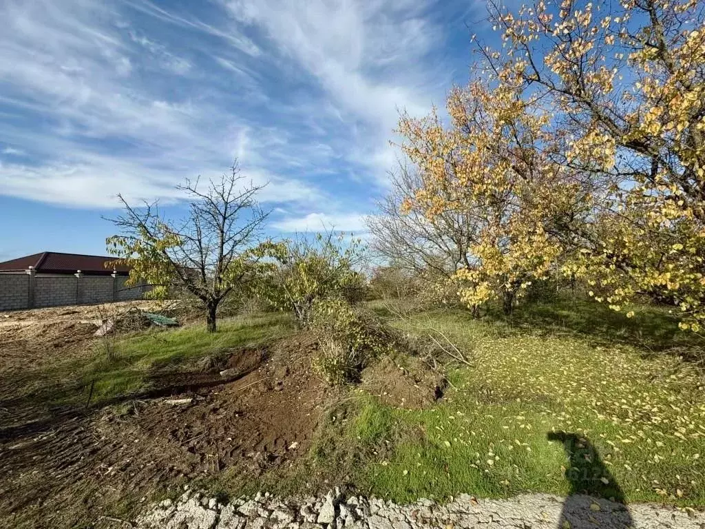 Участок в Крым, Симферопольский район, Перовское с/пос, Новозбурьевка ... - Фото 1