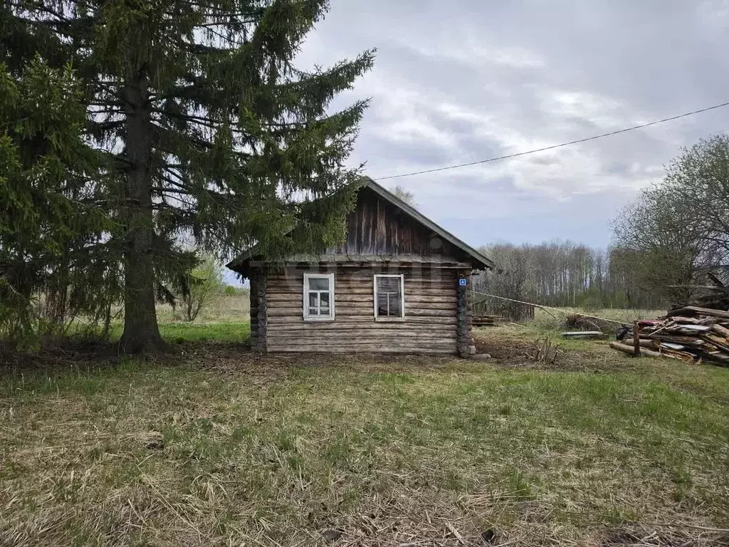 Участок в Тюменская область, Нижнетавдинский район, с. Петрунькино ... - Фото 1