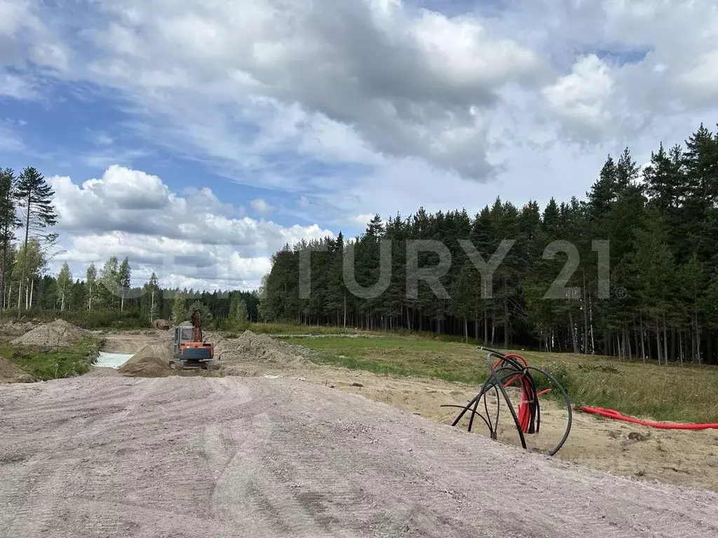 Участок в Ленинградская область, Приозерский район, Громовское с/пос, ... - Фото 2