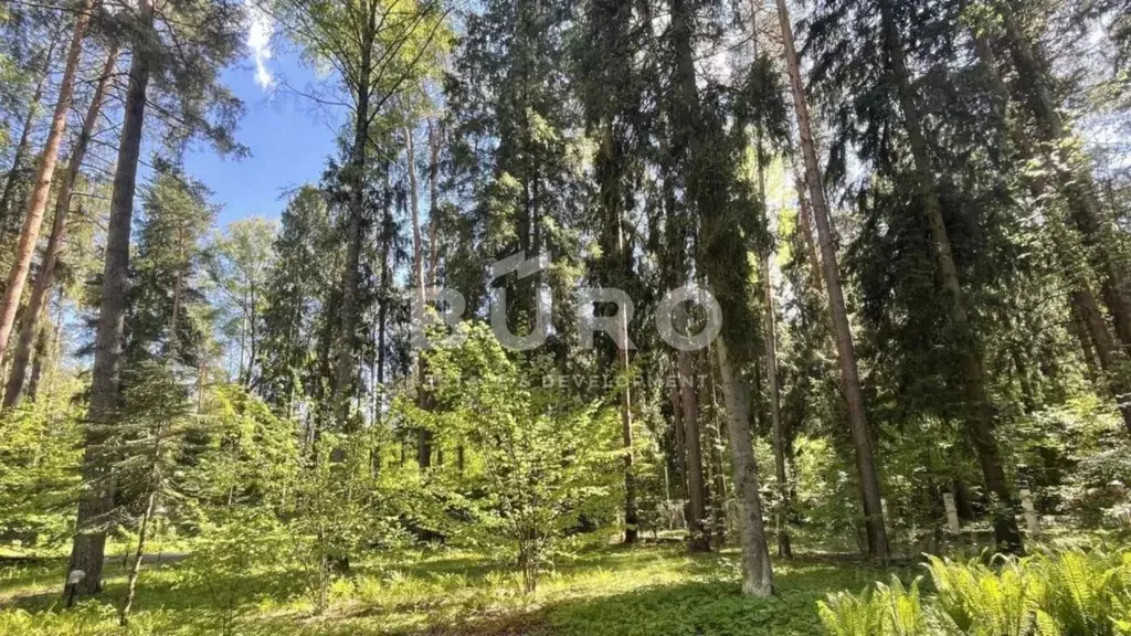 Участок в Московская область, Одинцовский городской округ, пос. дома ... - Фото 0