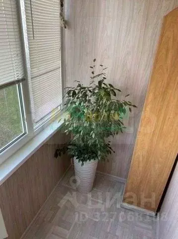 2-к кв. Белгородская область, Белгород ул. Губкина, 13в (61.0 м) - Фото 2