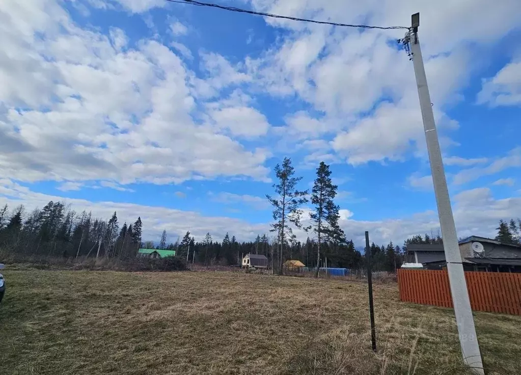 Участок в Ленинградская область, Луга ул. Ленпеха (12.0 сот.) - Фото 2