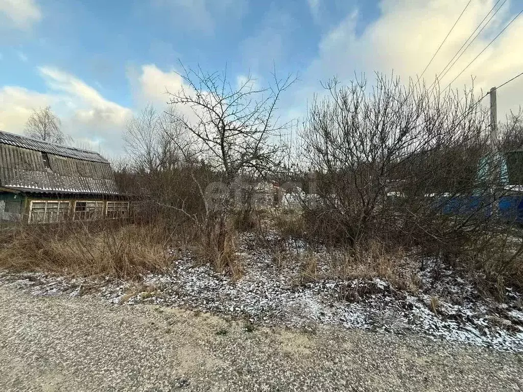 Участок в Ярославская область, Ярославский муниципальный округ, ... - Фото 1