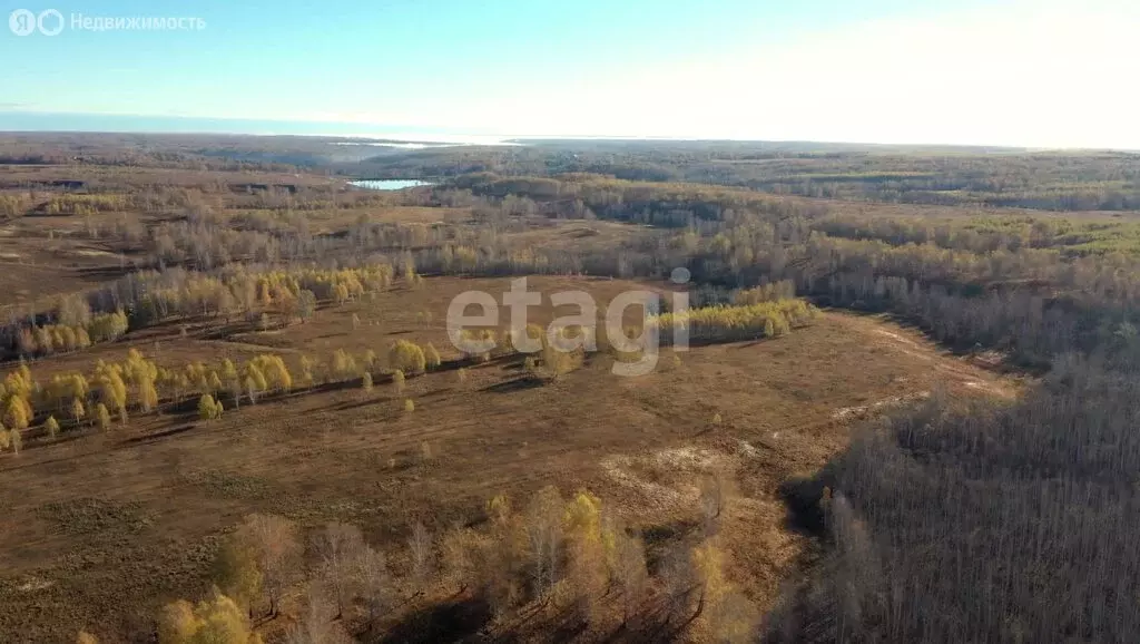 Участок в Мошковский район, село Сокур (23.1 м) - Фото 1