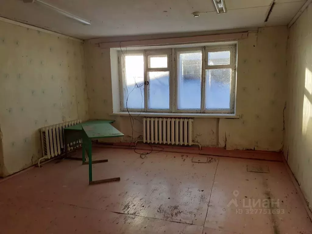 Помещение свободного назначения в Нижегородская область, Сергачский ... - Фото 1