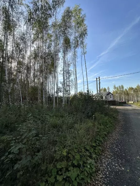 Участок в Московская область, Раменский городской округ, д. Холуденево ... - Фото 1